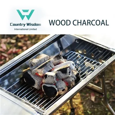 Grosir Harga Arang Barbekyu Tanpa Asap Berkualitas Tinggi